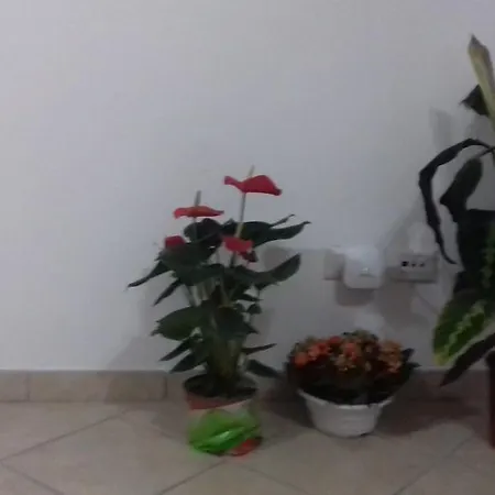Bed & Breakfast Trastevere Strange Loft Roma